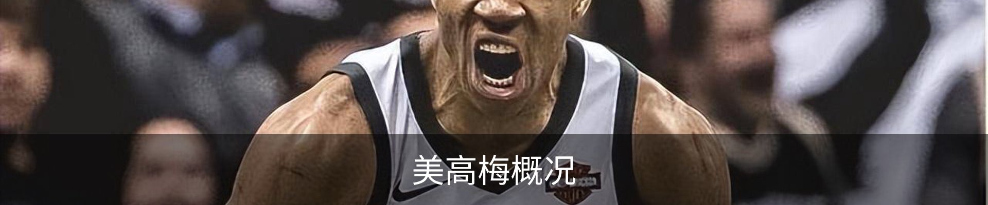美高梅概况